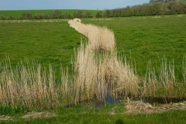 Amberley, Sussex &copy; 2007, Peter Marshall