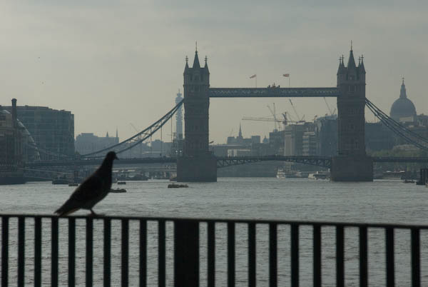 Bermondsey & Rotherhithe &copy; 2007, Peter Marshall