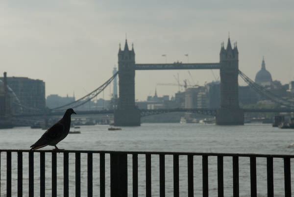 Bermondsey & Rotherhithe &copy; 2007, Peter Marshall